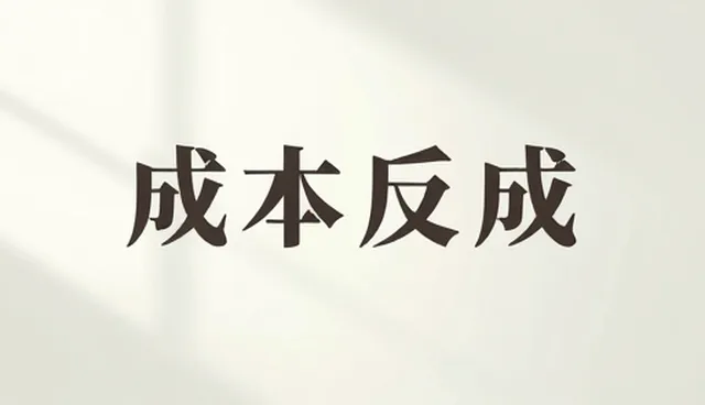 技术咨询在定制化方案设计中的常见问题与处理方法